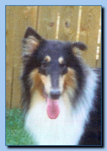 a-02 9-st francis  pet subjects archive 17a